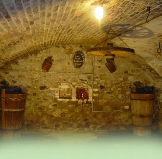 Alter Gewölbekeller Bodensee Bauernhof