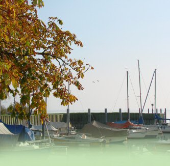 bildlinkespalte