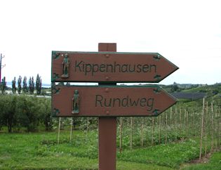 tolle Wanderwege durch die Obstplantagen Wandern am Bodensee