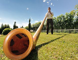 ...der Hausherr spielt Alphorn Ferienhof Bodensee