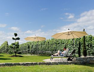 Liegewiese inmitten der Weinreben bildlinkespalte