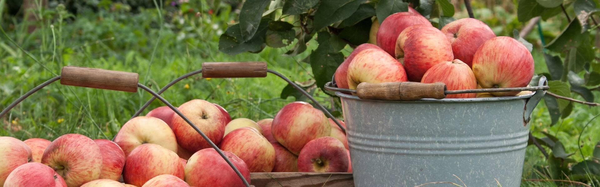 ferienhof-gomeringer-herbst